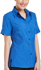 Picture of Corporate Reflection-6303V19-Climate Smart Ladies Easy Fit Short Sleeve shirt
