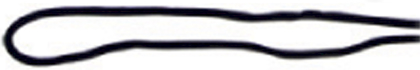 Picture of Winning Spirit Chin Strap With Break Away Clip (H1007)