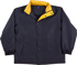 Picture of Winning Spirit Unisex Stadium Jacket (JK01)