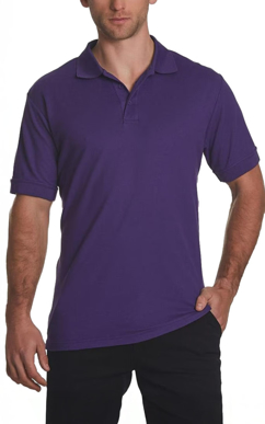 Picture of Winning Spirit Mens Connection Polo (PS63)