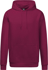 Picture of Bocini Collections Kids Heavy Weight Hoodie (CJ2501-KIDS)